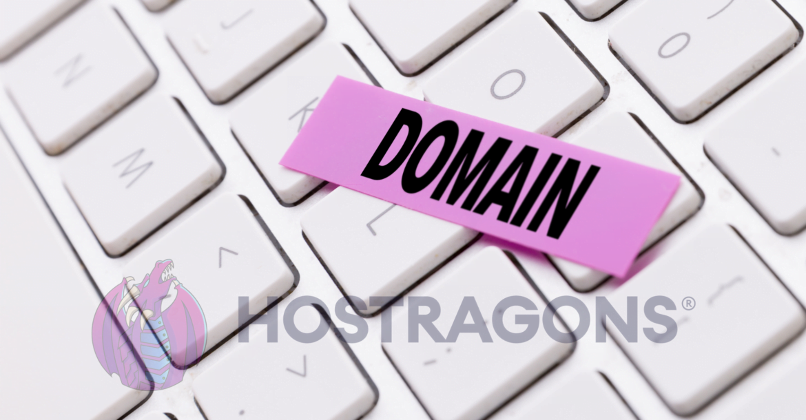 Domain Uzantıları